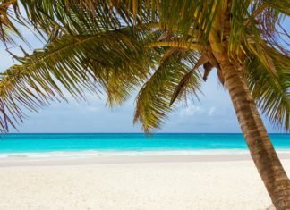 10 Cosas que hacer en la isla San Andrés en Colombia