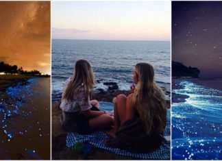4 Playas de méxico donde el mar se ilumina en la noche