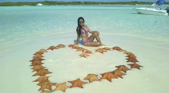 Mata 31 estrellas de mar para conseguir más likes en Instagram