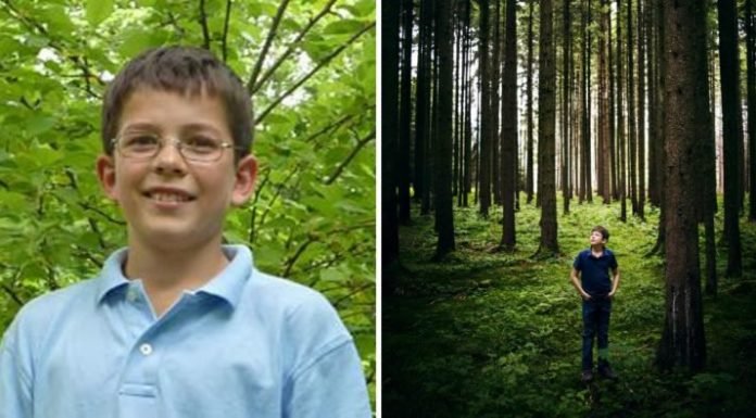 Un niño alemán de 12 años lleva más de un millón de árboles plantados