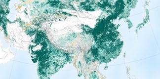 La NASA informó felizmente que la Tierra está más verde y con más árboles que hace 20 años