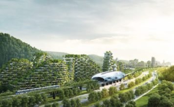 China quiere crear la primera ciudad forestal del mundo