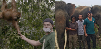 DiCaprio dona 15 millones de $ para la proteger el planeta y detener la caza de animales — Un compromiso de vida