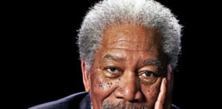Morgan Freeman convierte su rancho de 50 Hectáreas en santuario para salvar a las abejas