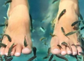 Fue a un spa con peces en Tailandia y le tuvieron que amputar los cinco dedos de un pie