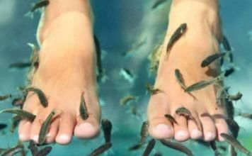 Fue a un spa con peces en Tailandia y le tuvieron que amputar los cinco dedos de un pie