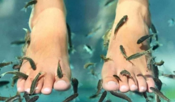 Fue a un spa con peces en Tailandia y le tuvieron que amputar los cinco dedos de un pie