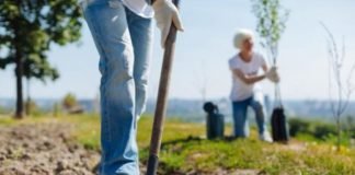 Australia va a plantar mil millones de árboles en contra del calentamiento global