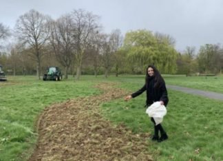 Un barrio de Londres hará un camino de flores de 11 km para ayudar a las abejas