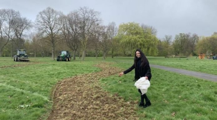 Un barrio de Londres hará un camino de flores de 11 km para ayudar a las abejas