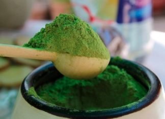 La harina de coca tiene más calcio que la leche y más proteína que la quinua