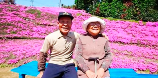 Cultivó miles de flores para que su esposa ciega pudiera olerlas