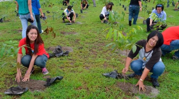 Proyecto de ley en Filipinas obliga a plantar un árbol para graduarse de la universidad