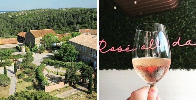 Compañía de vinos te paga $10.000 dólares para que viajes a Francia