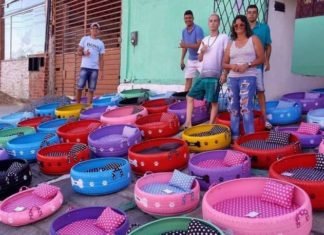 Artista brasileño transforma viejos neumáticos en camitas para los perros callejeros