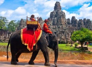 Camboya prohibirá los paseos en elefante en los templos del Angkor Wat en el 2020