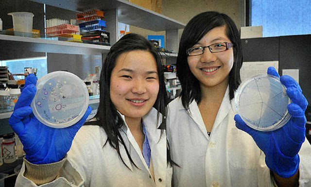 Estudiantes inventan bacteria que come plástico de los océanos y lo convierte en agua