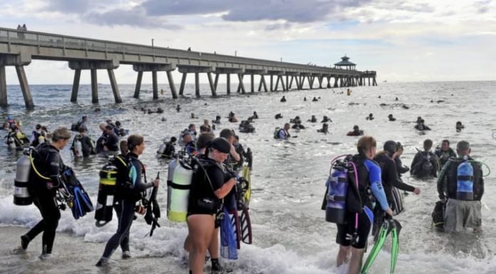 Buzos recogen más de 700 kilos de basura en una playa de Estados Unidos y marcan récord mundial