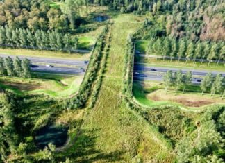 Holanda ya tiene 600 puentes verdes para que los animales crucen las autopistas de forma segura