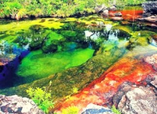 El río de los cinco colores, una de las maravillas naturales mas hermosas del mundo