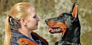 Algunas personas quieren más a sus mascotas que a otros seres humanos, según estudio