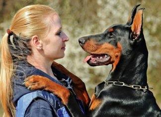 Algunas personas quieren más a sus mascotas que a otros seres humanos, según estudio