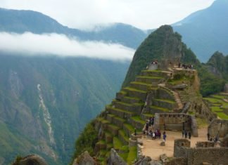 Perú está protegiendo Machu Picchu plantando un millón de árboles para protegerse contra deslizamientos de tierra e incendios