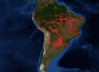 Incendios por todo el mundo: Ardieron 500mil hectáreas por la Amazonía en 16 días