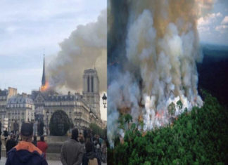 El mundo lloró Notre Dame; el Amazonas ¿a nadie le importa?