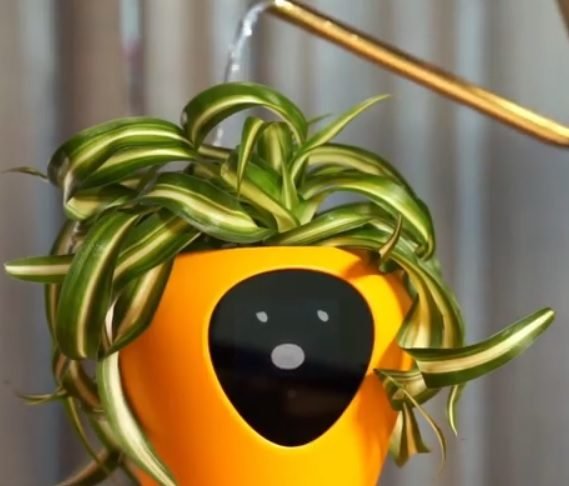 Lua es una maceta personalizada que te informará lo que necesita tu planta