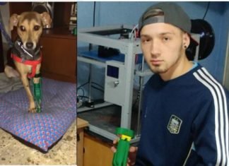 VIDEO: Un argentino fabrica prótesis para mascotas amputadas con una impresora 3D
