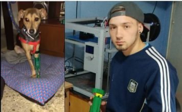 VIDEO: Un argentino fabrica prótesis para mascotas amputadas con una impresora 3D