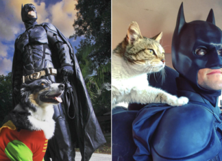 Disfrazado de Batman, viaja por los Estados Unidos para salvar animales abandonados y encontrarles una familia.
