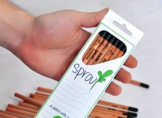Conoce todo sobre el lápiz que tiene semilla. Sprout