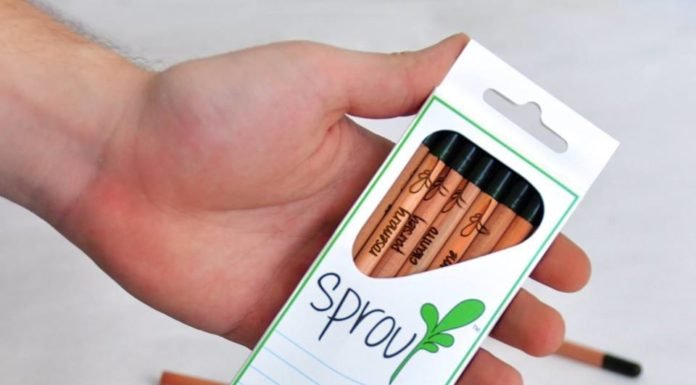 Conoce todo sobre el lápiz que tiene semilla. Sprout