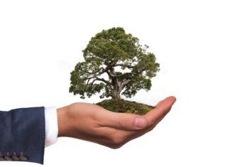 Google y Apple trabajan por el bien del medio ambiente: tienen un plan para 2022