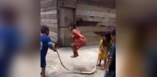 VIDEO: Niños ‘saltan a la cuerda’ con una serpiente muerta