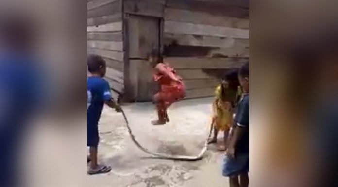 VIDEO: Niños ‘saltan a la cuerda’ con una serpiente muerta