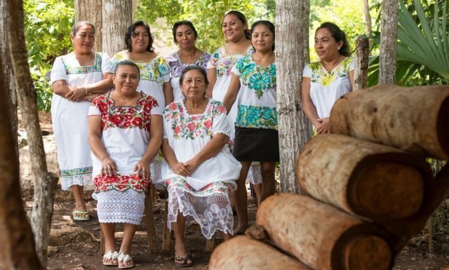 Mujeres mayas salvan a las abejas y se empoderan