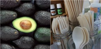 Compañía mexicana transforma huesos de aguacates en popotes y utensilios