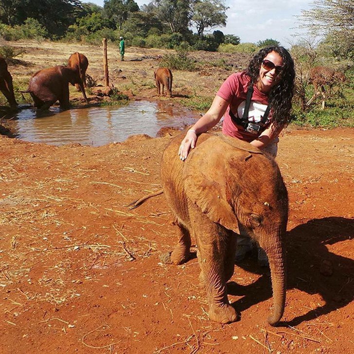 David Sheldrick Wildlife Trust