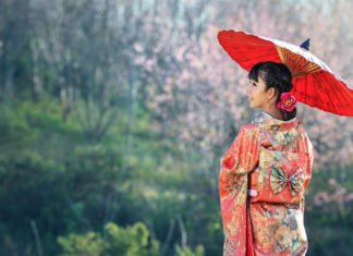 Ofrecerán 50.000 pasajes aéreos gratuitos para que los turistas conozcan Japón