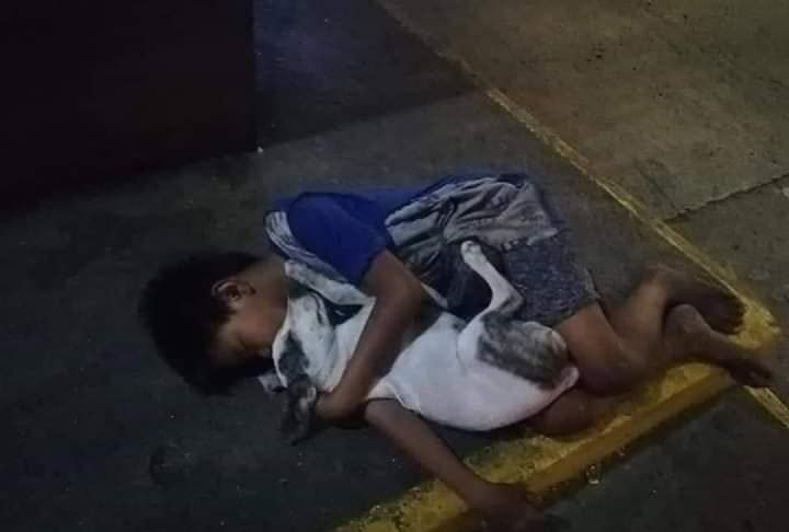 Un niño sin hogar duerme abrazado a su perro, la imagen se hace viral