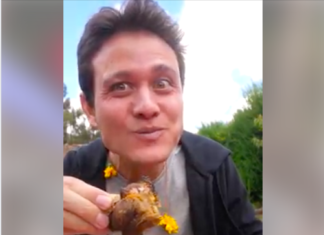 Mira la emoción de un turista al ver la preparación de la Pachamanca