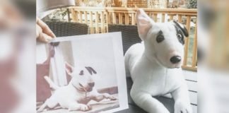 Empresa ‘inmortaliza’ mascotas y seres queridos convirtiéndolos en peluches a partir de una fotografía