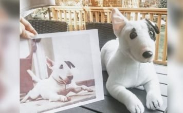 Empresa ‘inmortaliza’ mascotas y seres queridos convirtiéndolos en peluches a partir de una fotografía