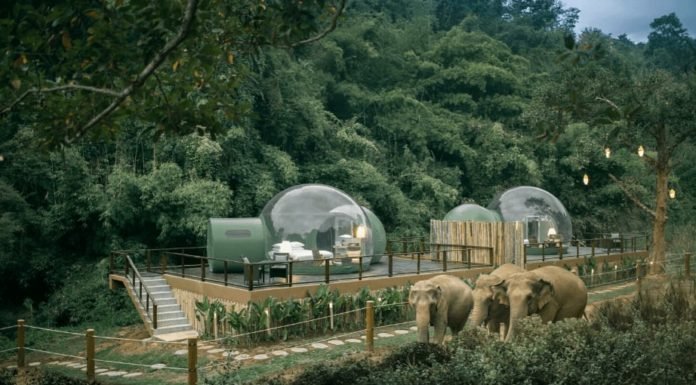 Puedes dormir con elefantes bajo las estrellas en una «burbuja de la selva» en Tailandia