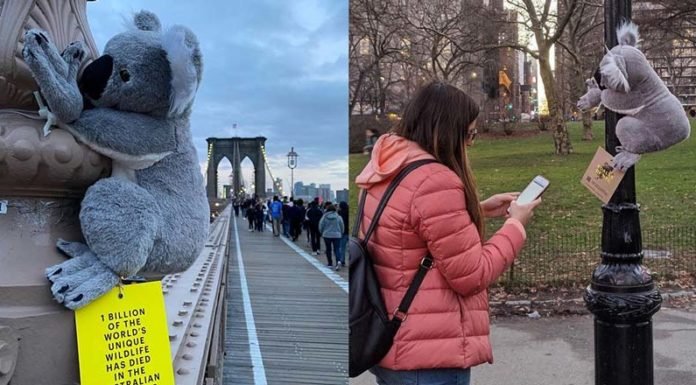 Peluches de koalas invaden Nueva York en esta creativa campaña social a favor de Australia