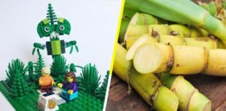 LEGO SE DESPIDE DEL PLÁSTICO INNOVANDO CON BLOQUES HECHOS DE CAÑA DE AZÚCAR