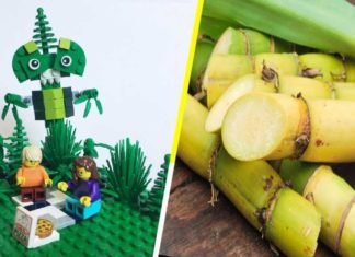 LEGO SE DESPIDE DEL PLÁSTICO INNOVANDO CON BLOQUES HECHOS DE CAÑA DE AZÚCAR